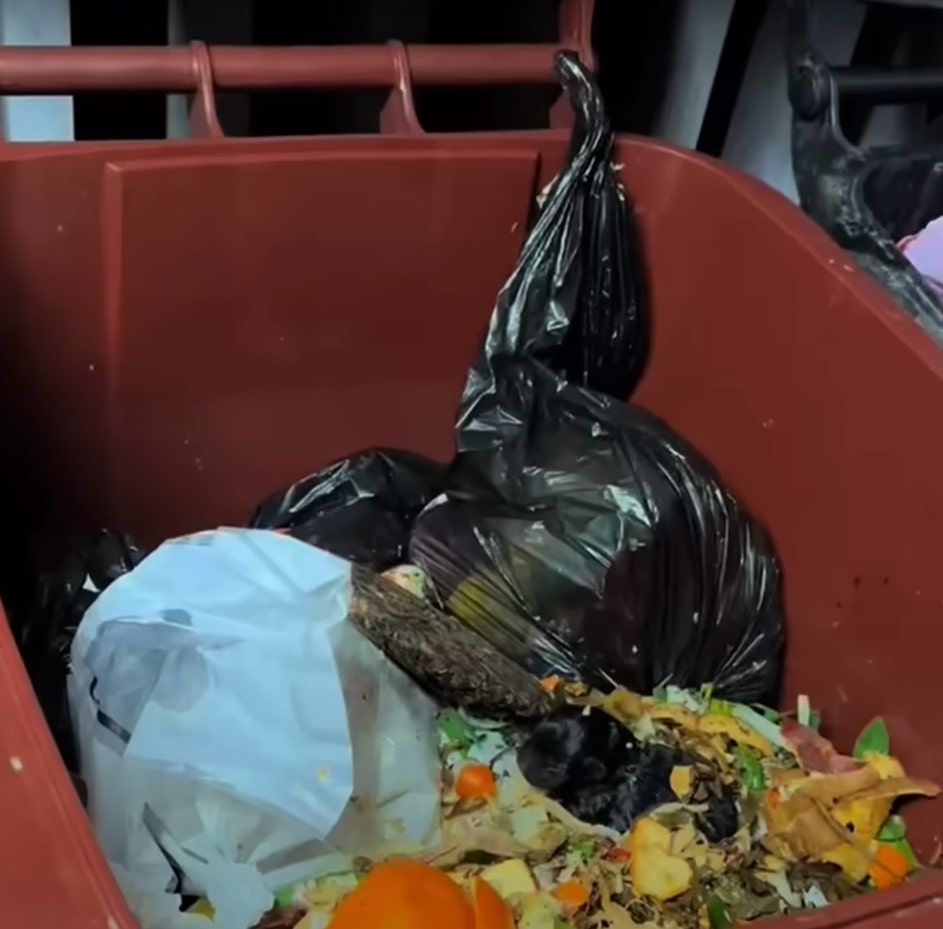 With a steady supply of formula, the pup...