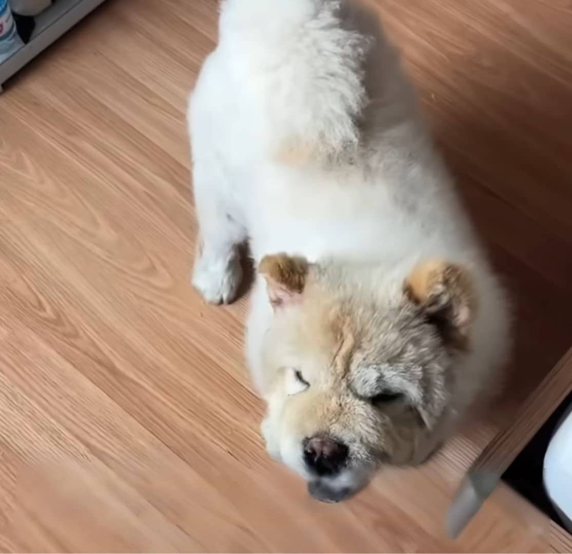 Extra image from article