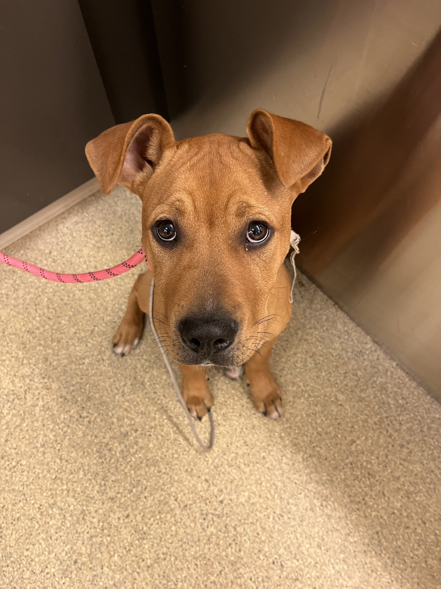 Extra image from article