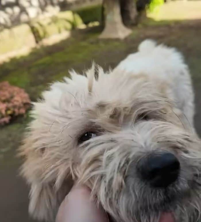 Extra image from article