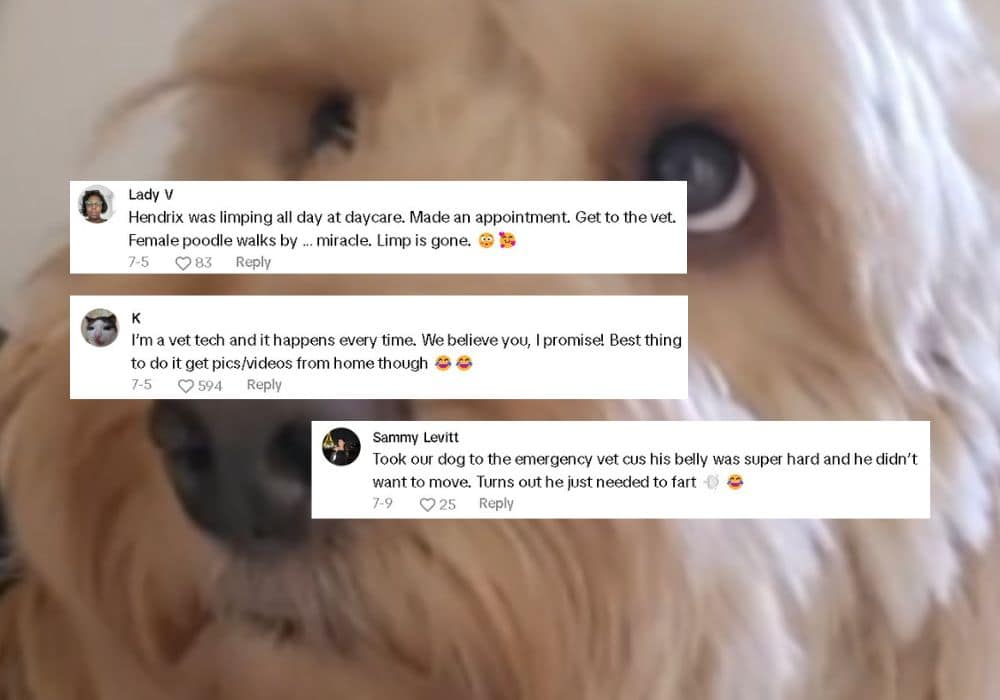 Extra image from article