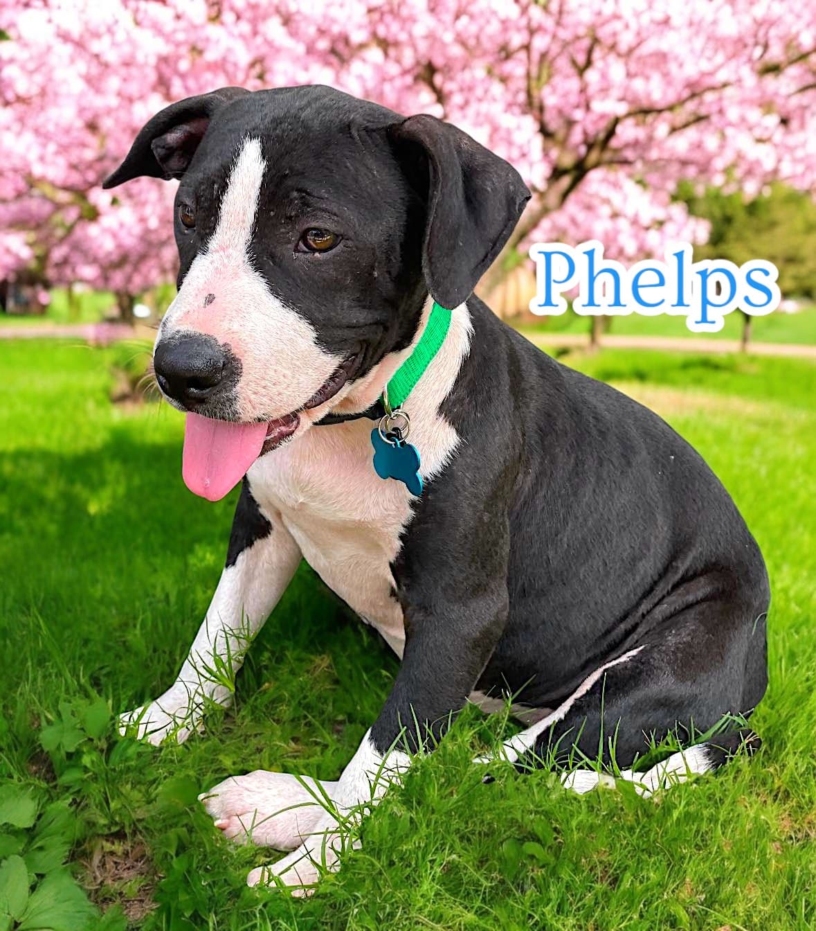 Extra image from article