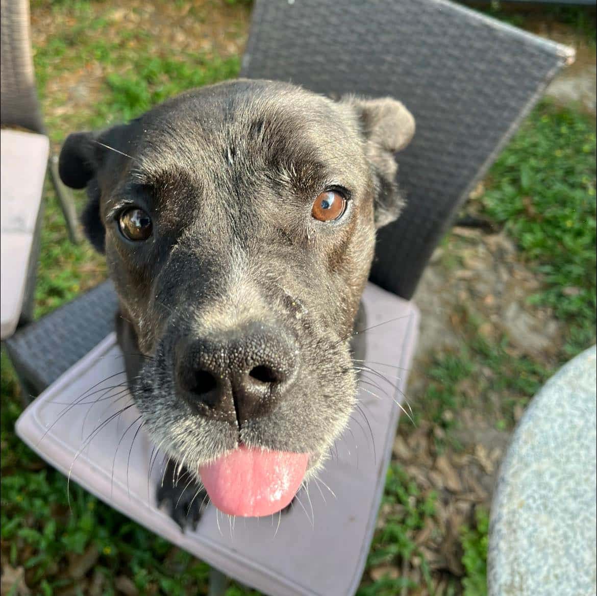 Extra image from article