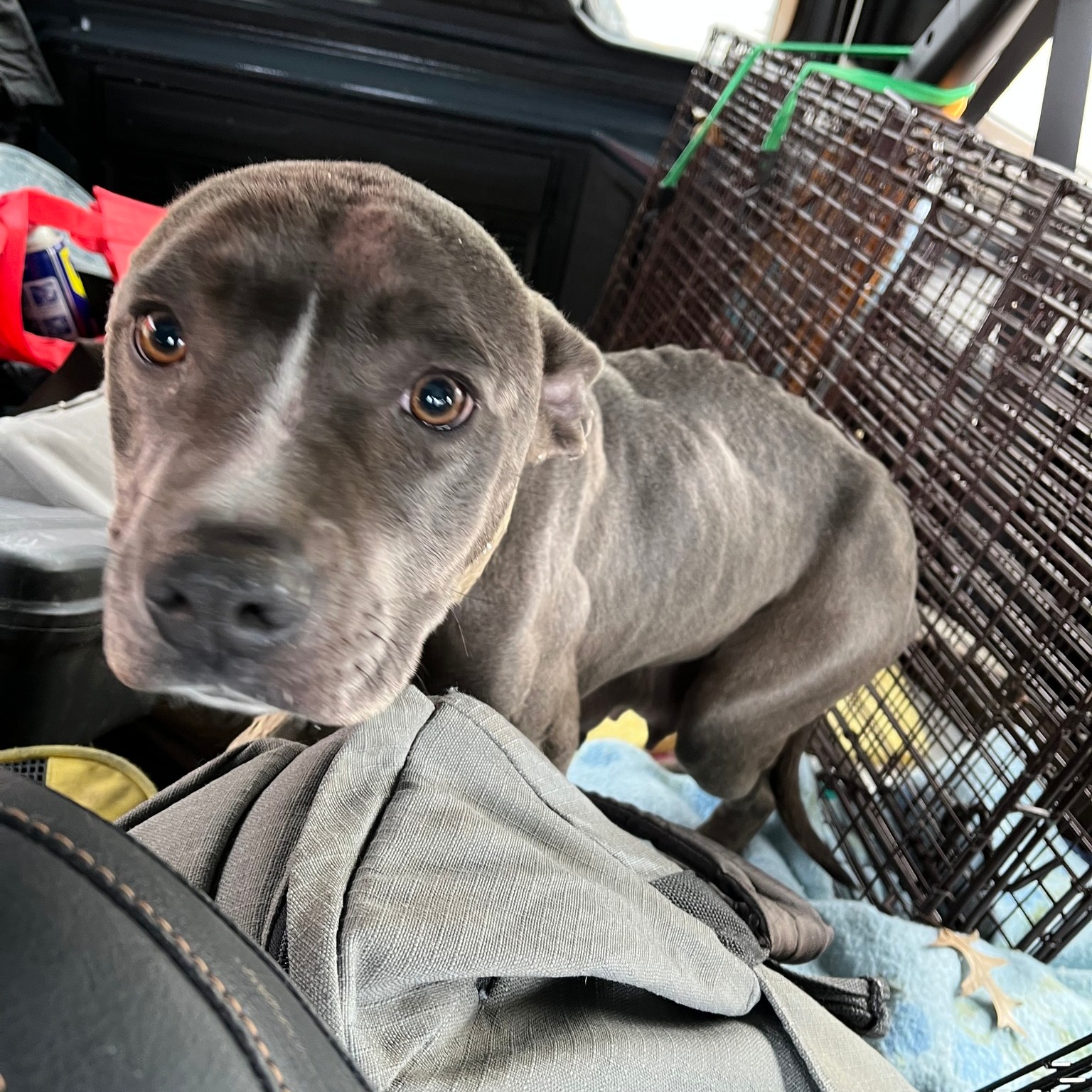 Extra image from article