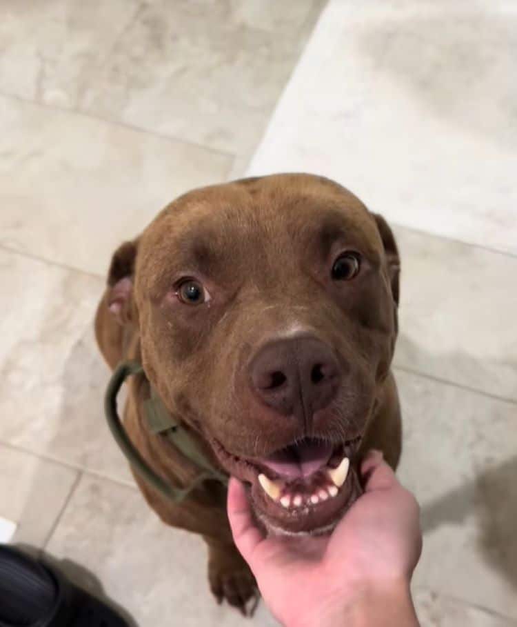 Extra image from article