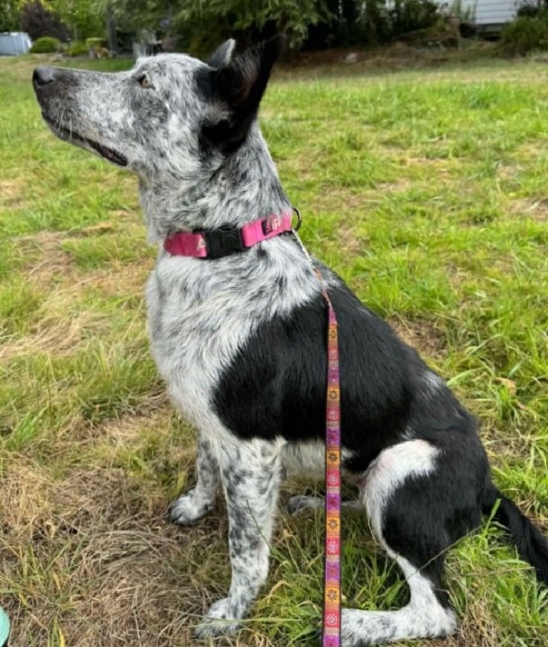 Extra image from article