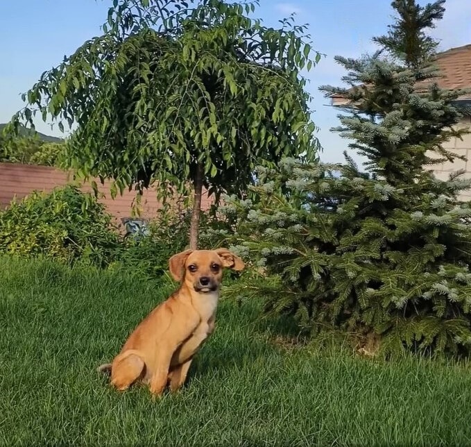 Extra image from article