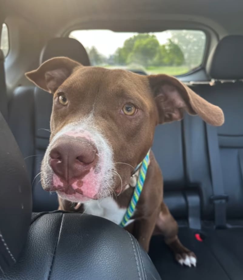 Extra image from article