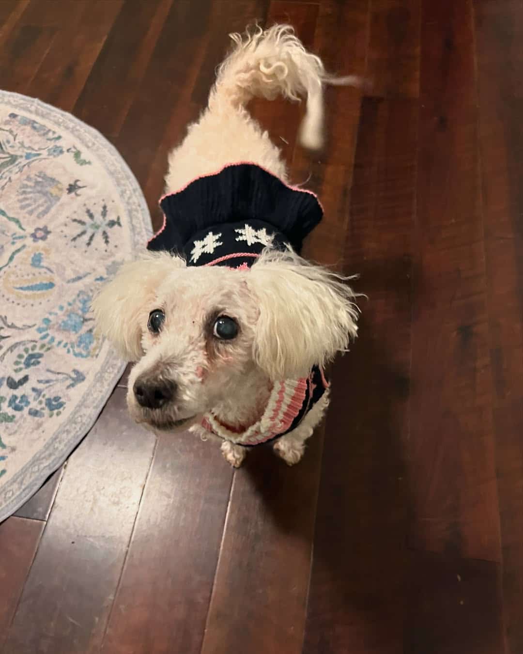 Extra image from article