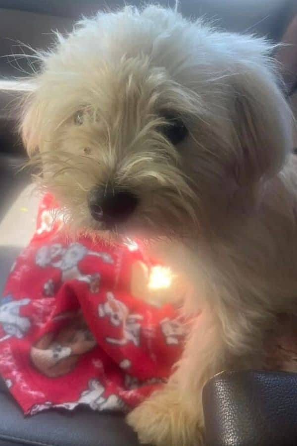 Extra image from article