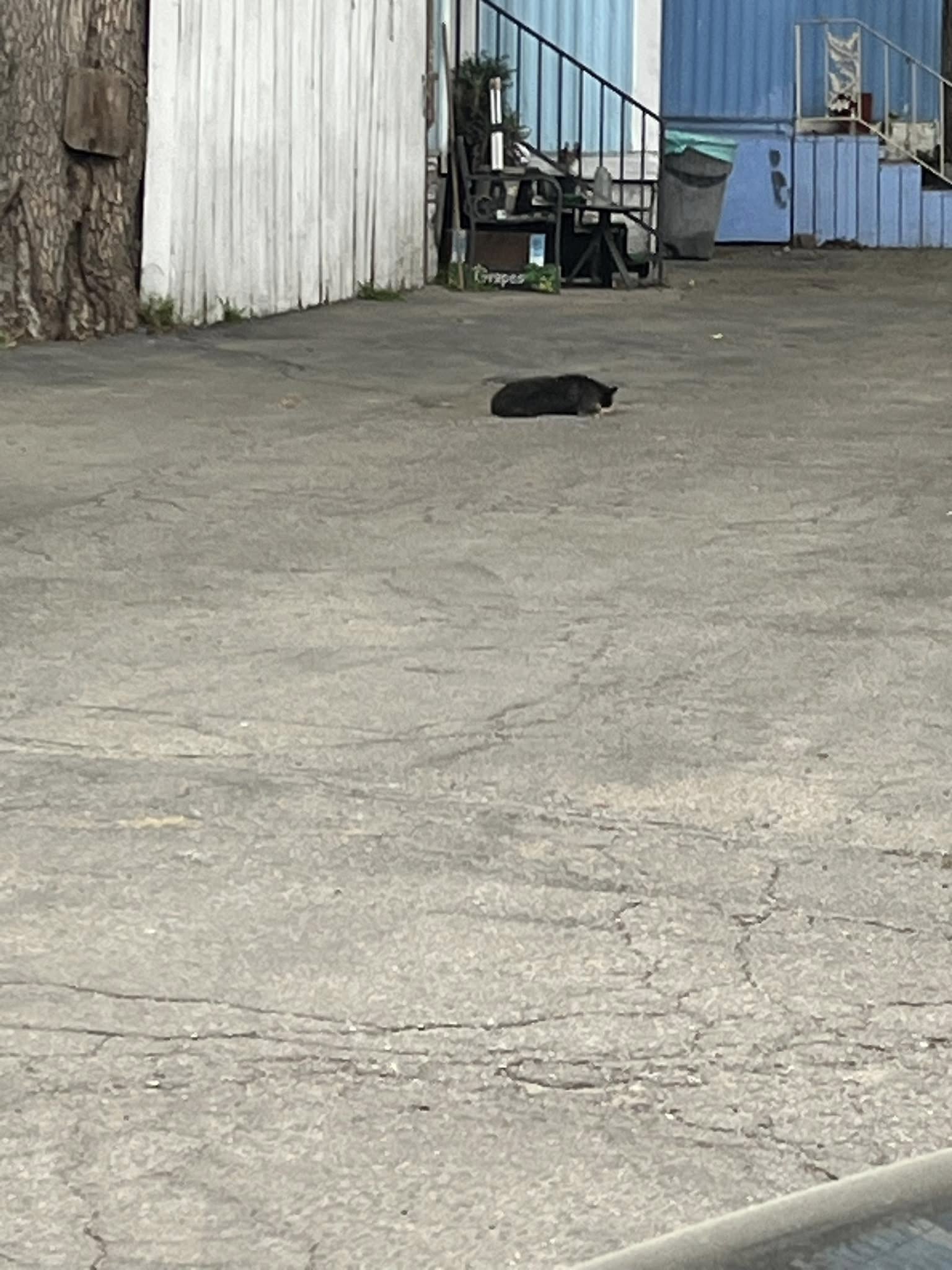 As Hall and her team prepared Bethany fo...