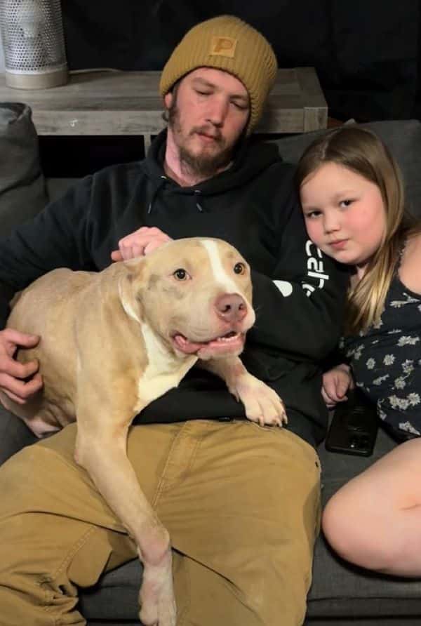 Extra image from article