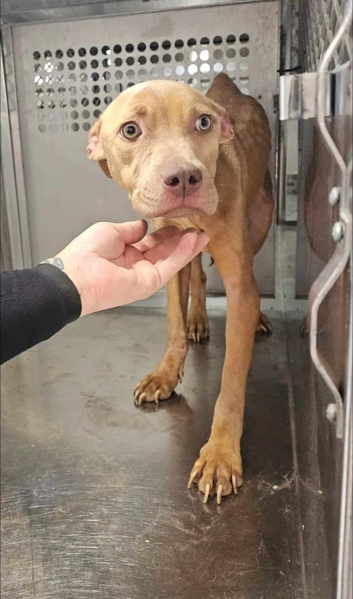 Extra image from article