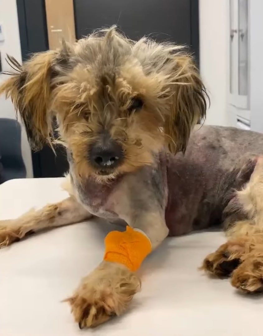 Extra image from article