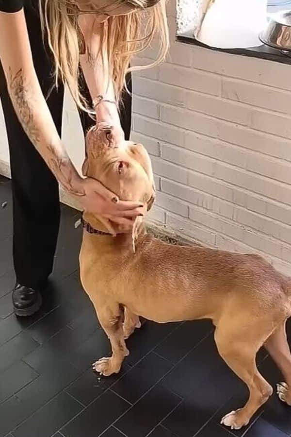 Extra image from article