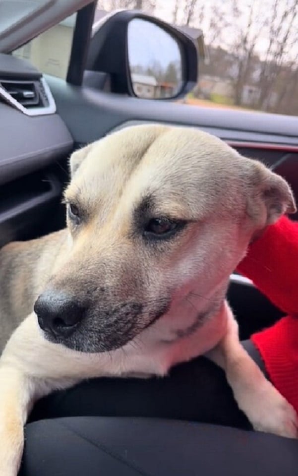 Extra image from article