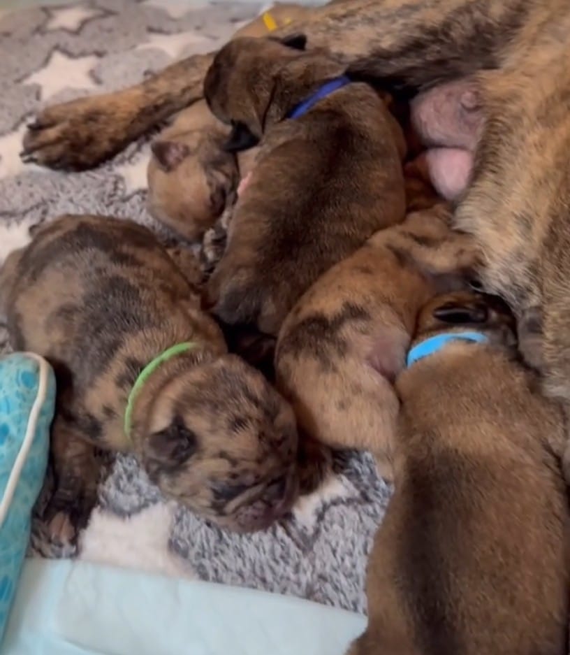 Extra image from article