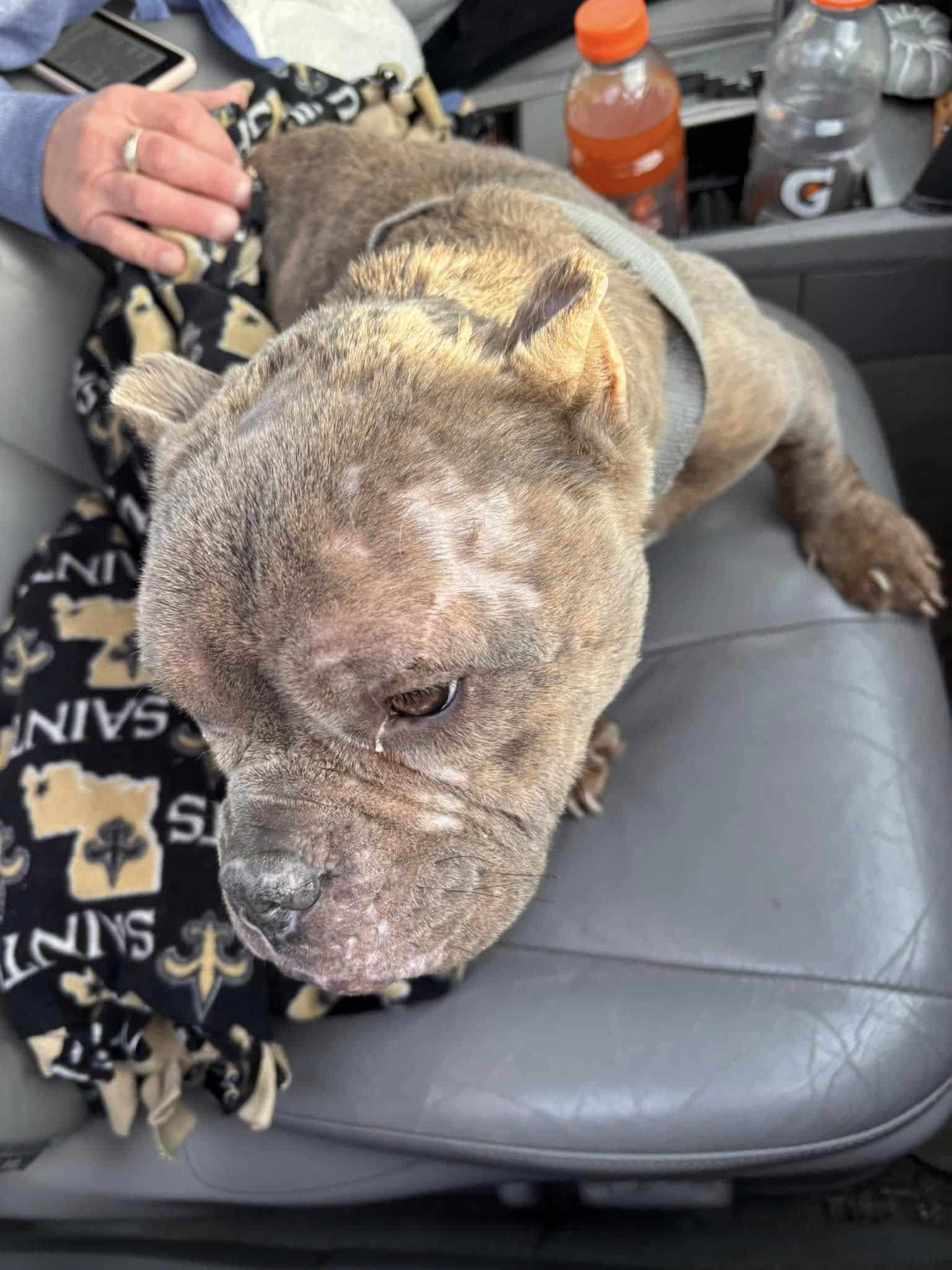 Extra image from article