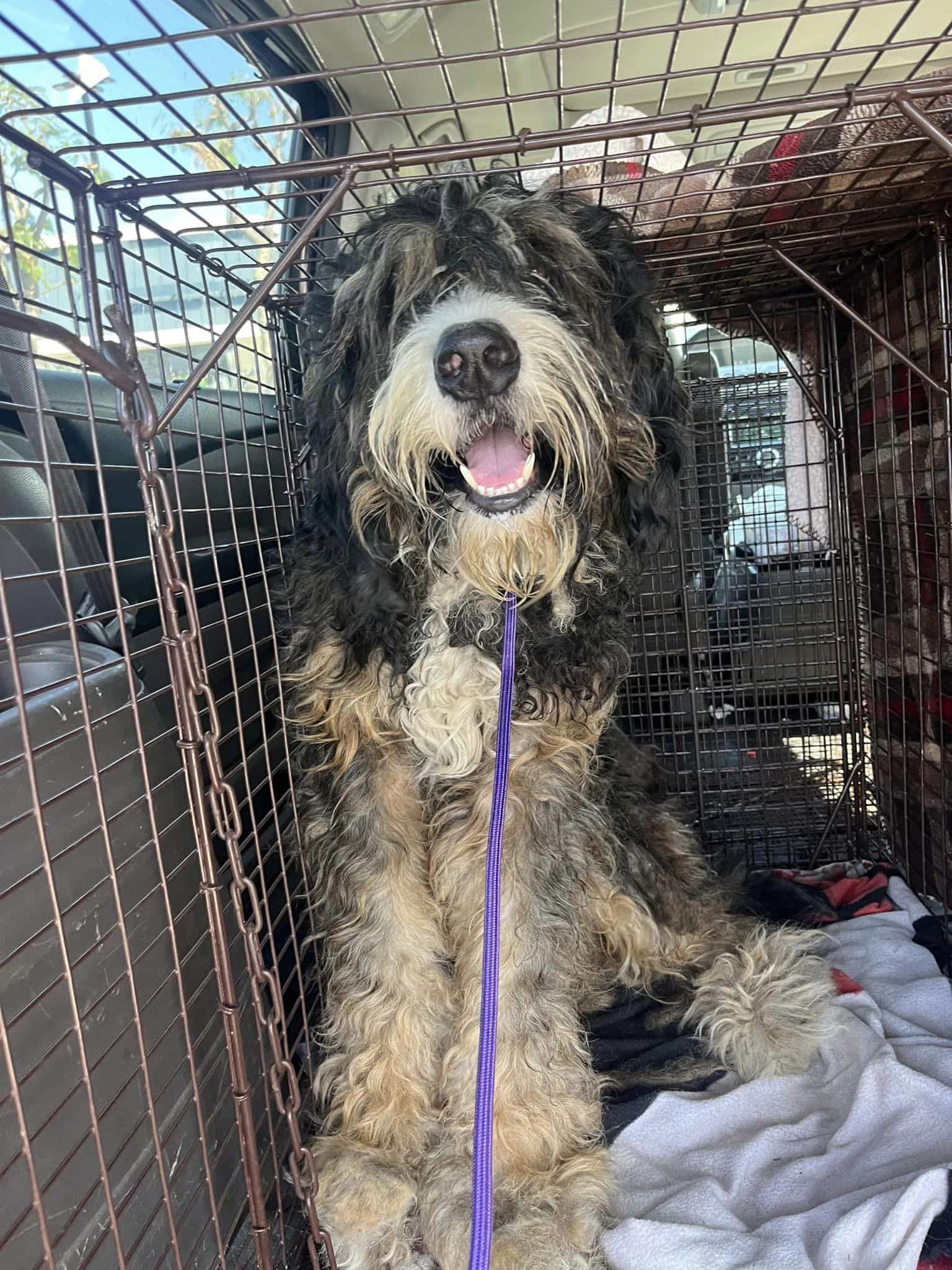 Extra image from article