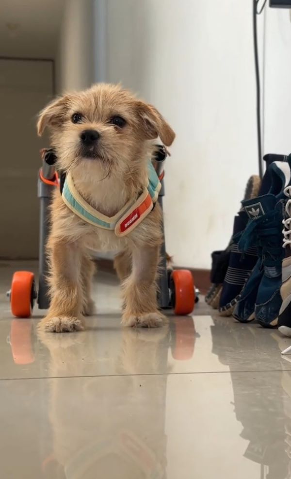 Extra image from article