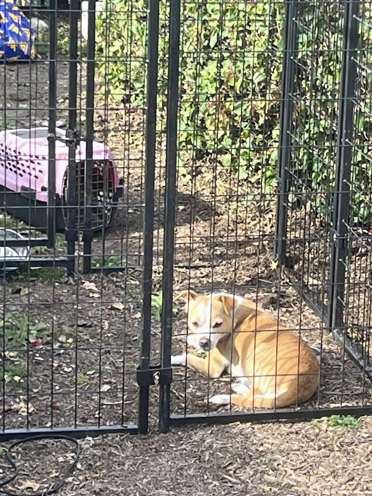 Extra image from article