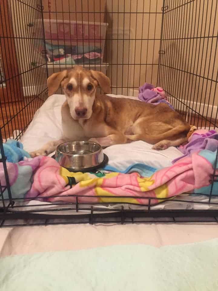 Extra image from article