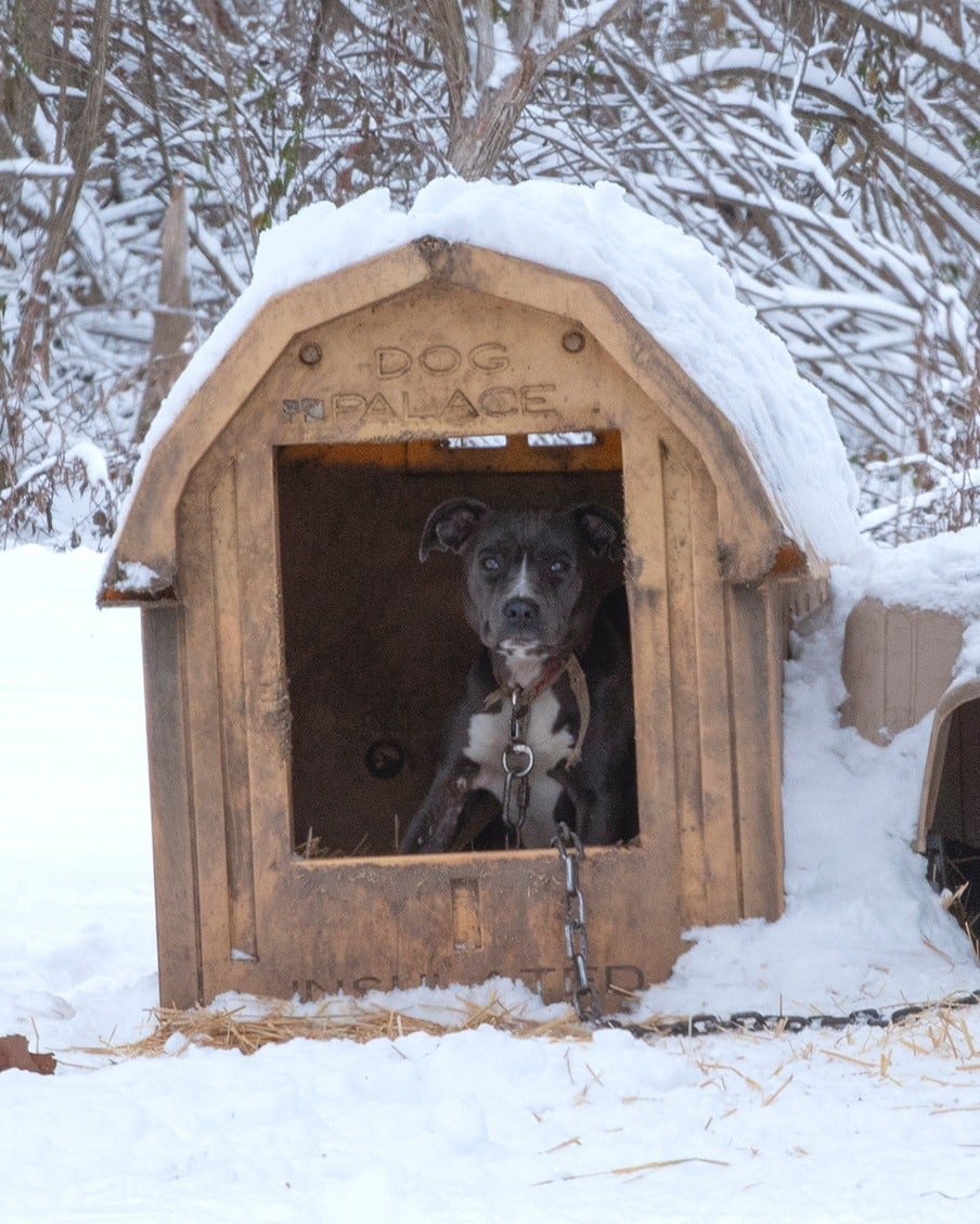 The rescue team was thrilled to know tha...