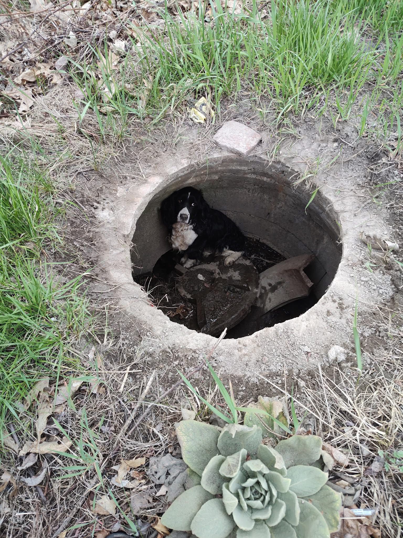 Extra image from article