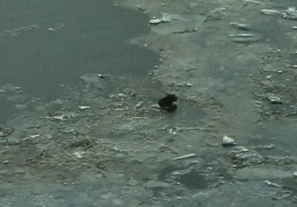 After receiving the necessary medical ca...