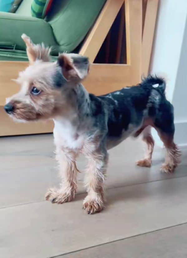 Extra image from article