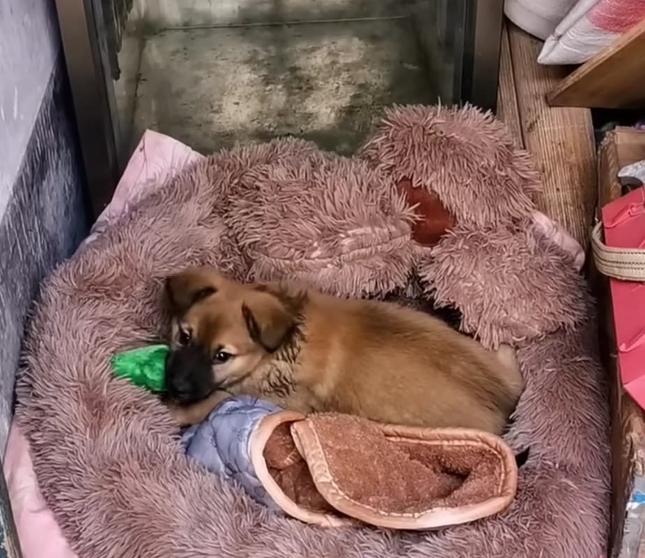 Extra image from article