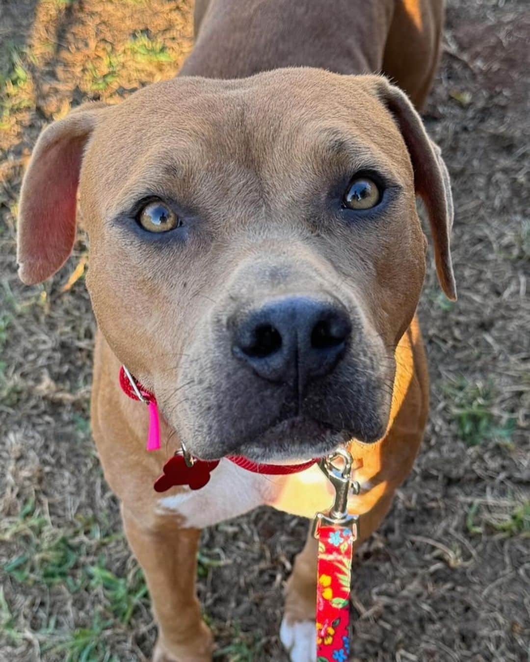 Extra image from article