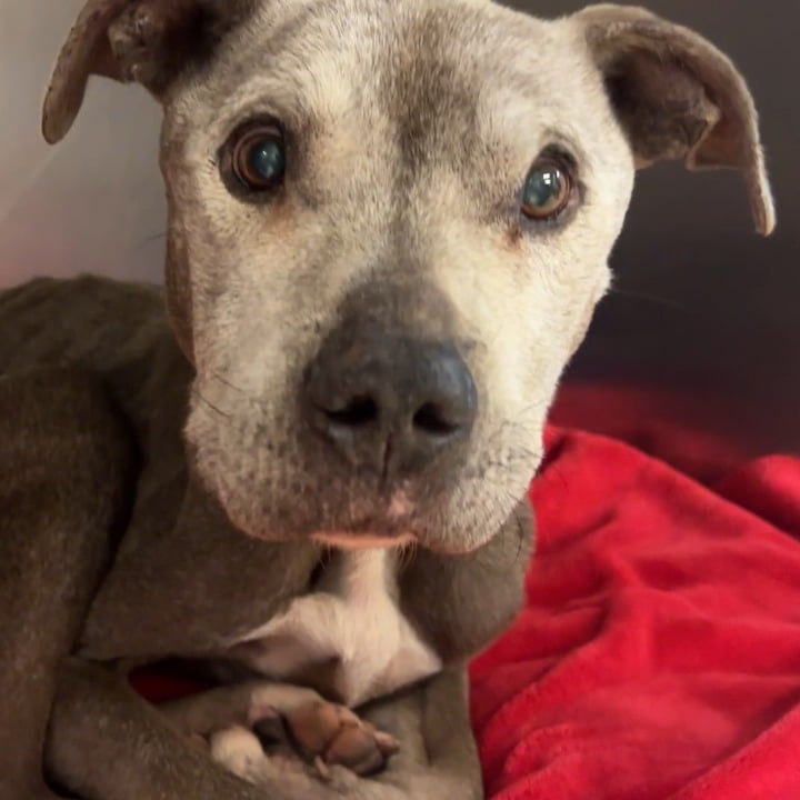 Extra image from article