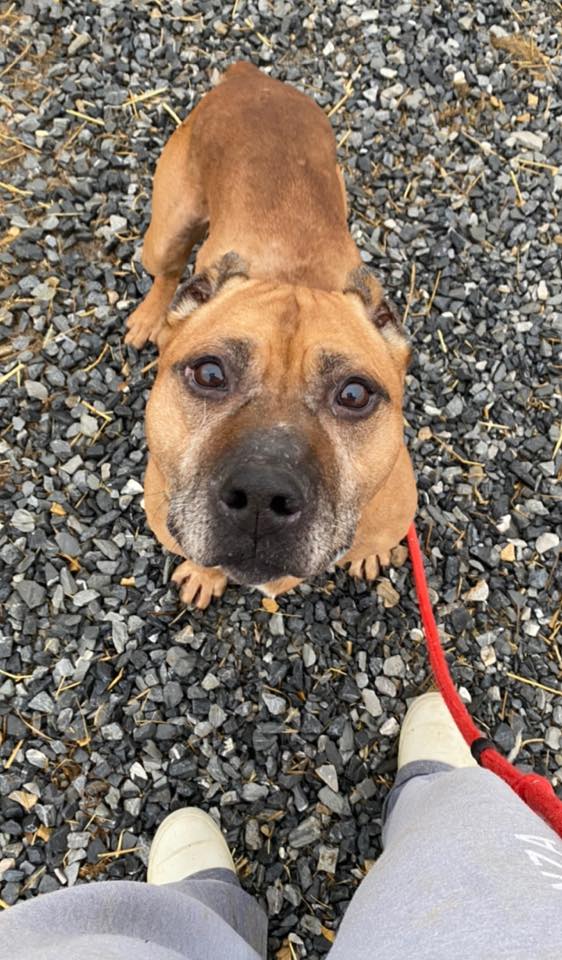 Extra image from article