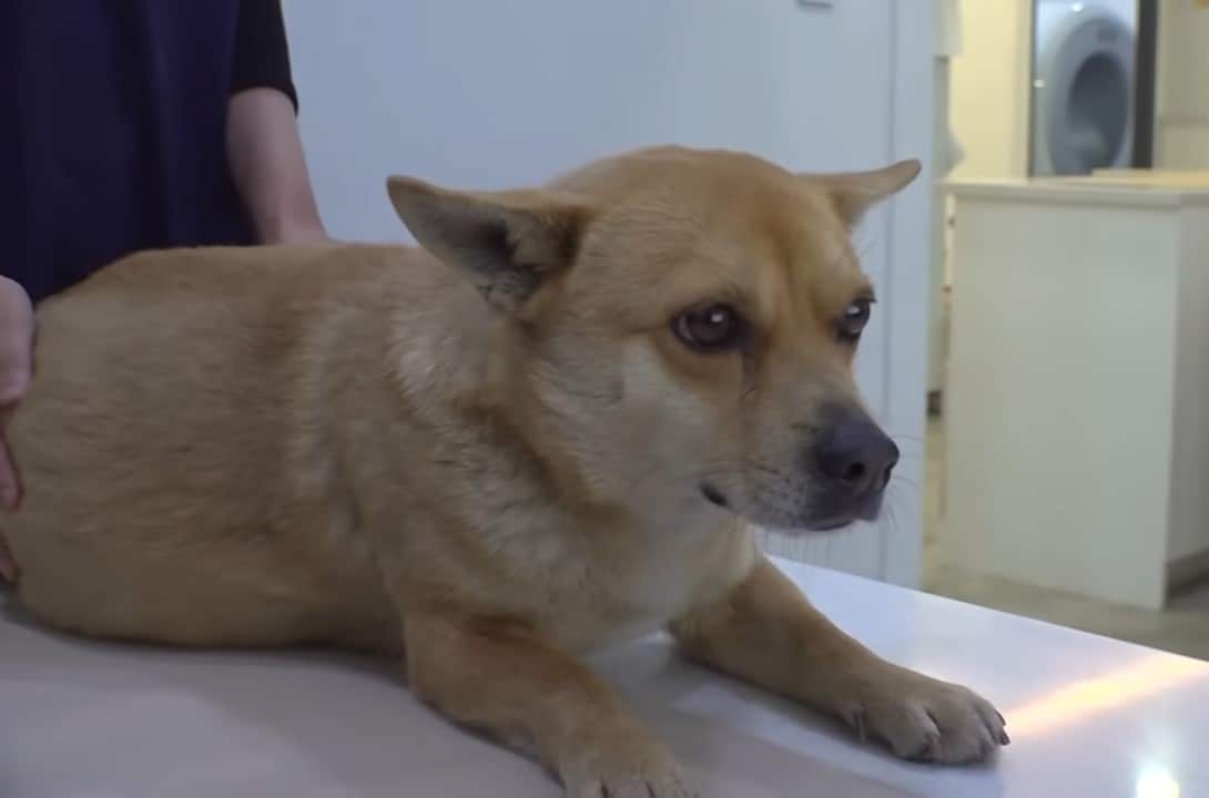 Extra image from article