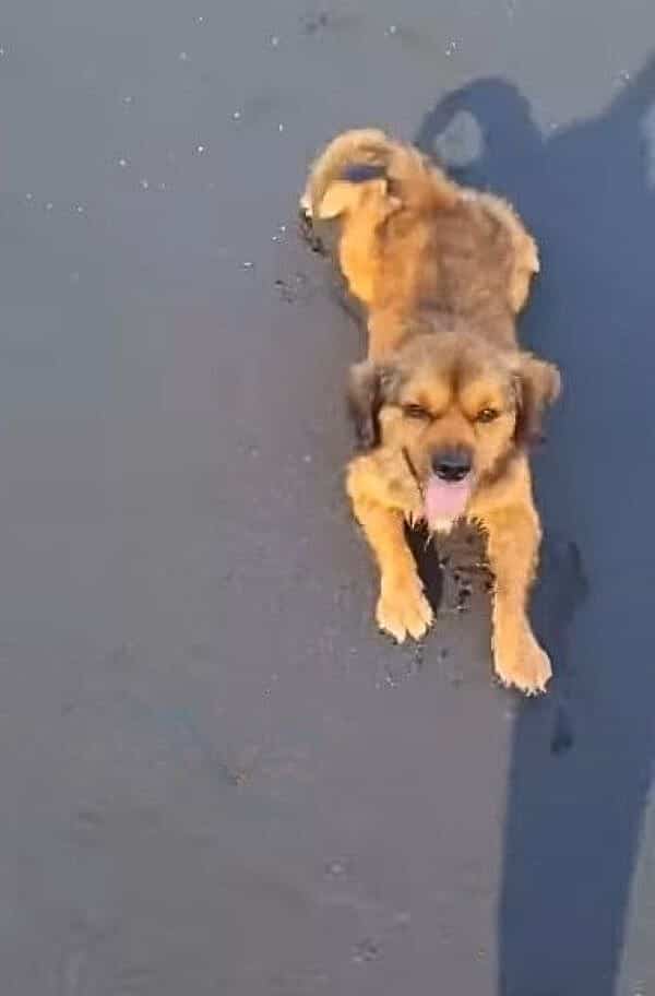 Extra image from article