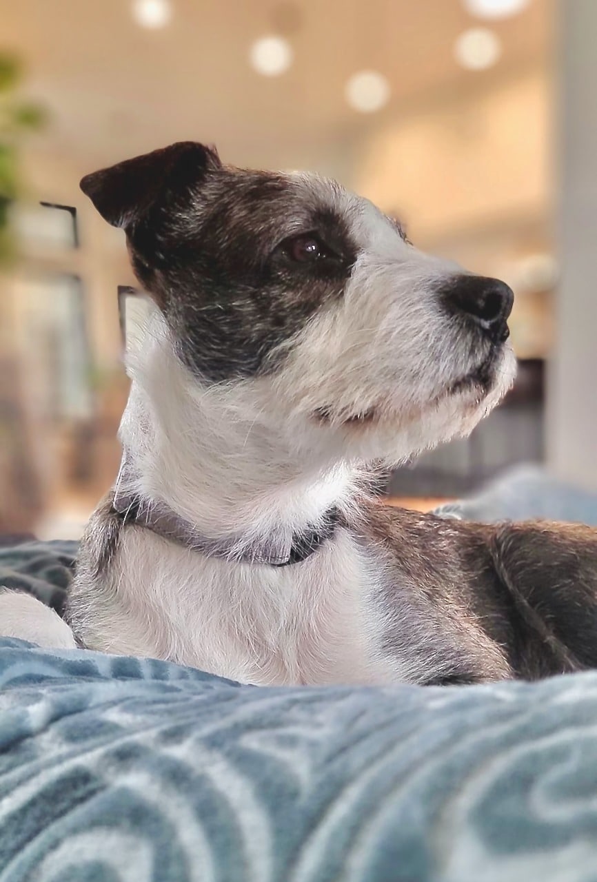 Extra image from article