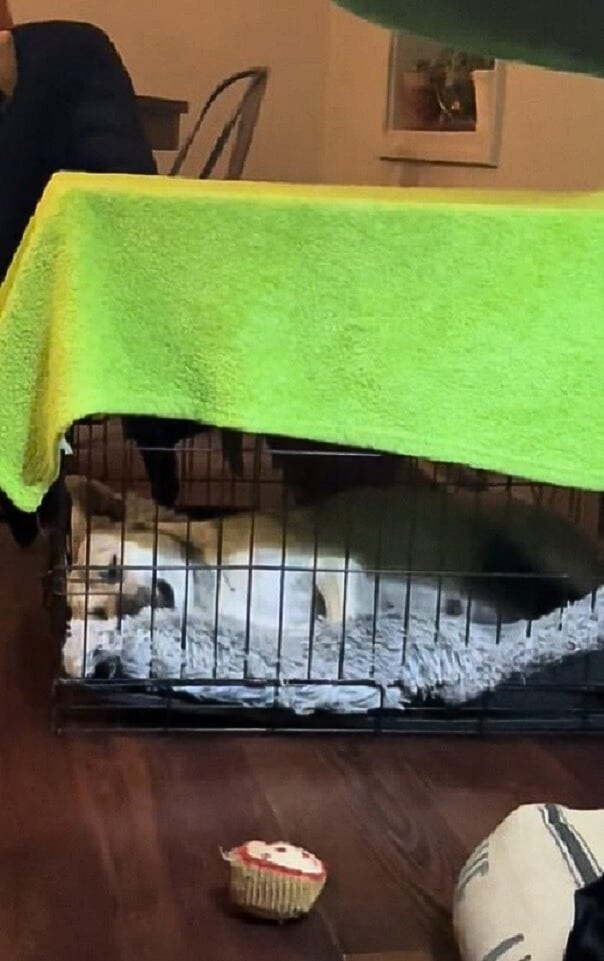 Extra image from article