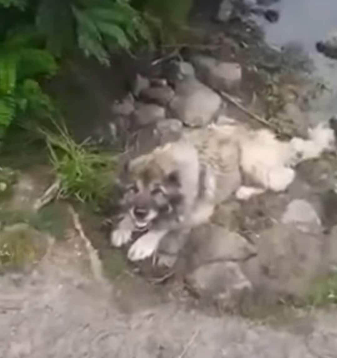 Gradually, Yara found herself back on he...