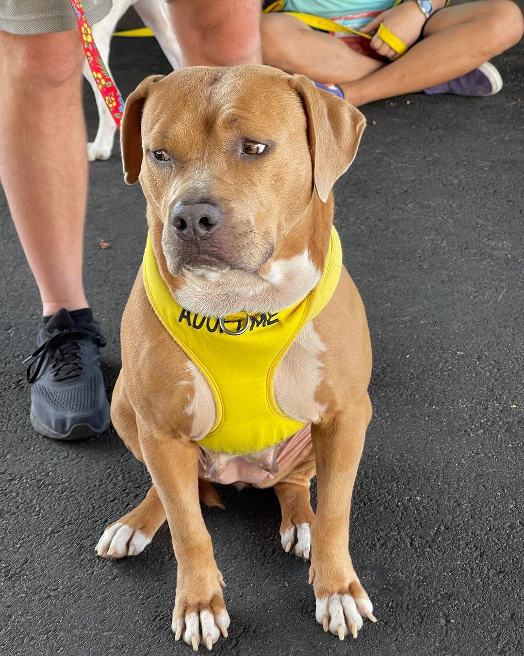 Extra image from article