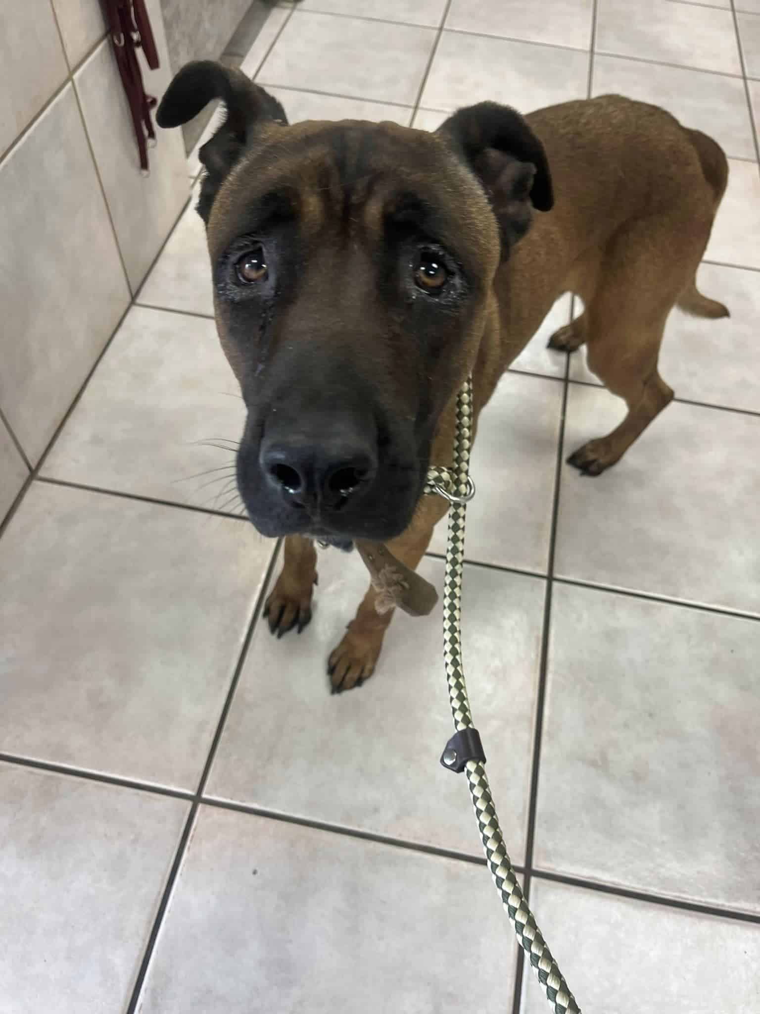 Extra image from article