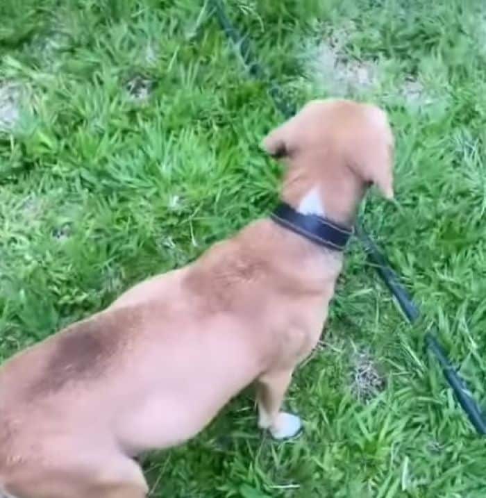 Extra image from article