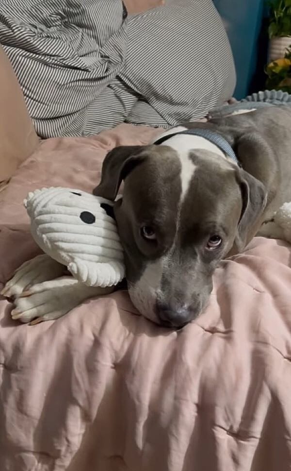 Extra image from article