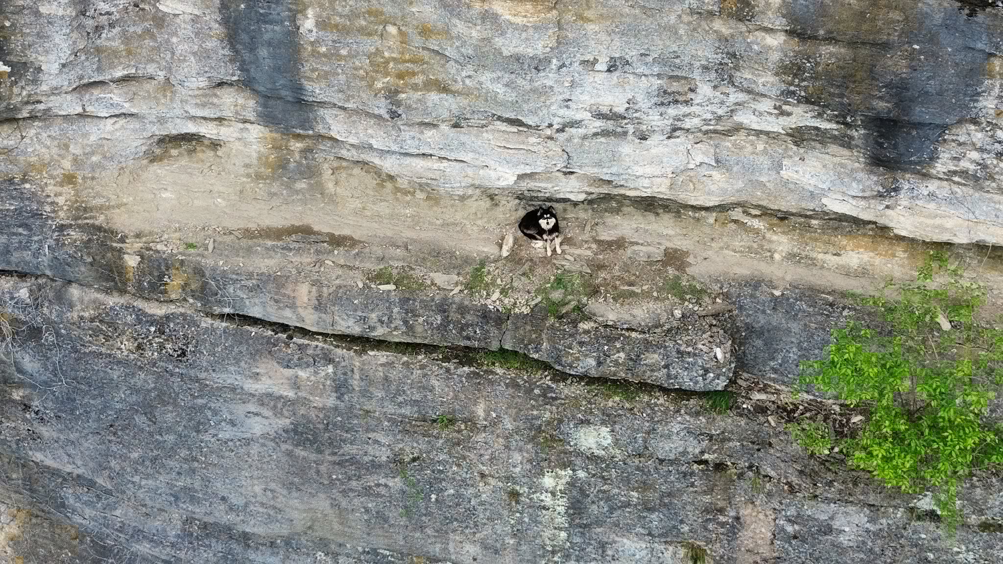 Extra image from article