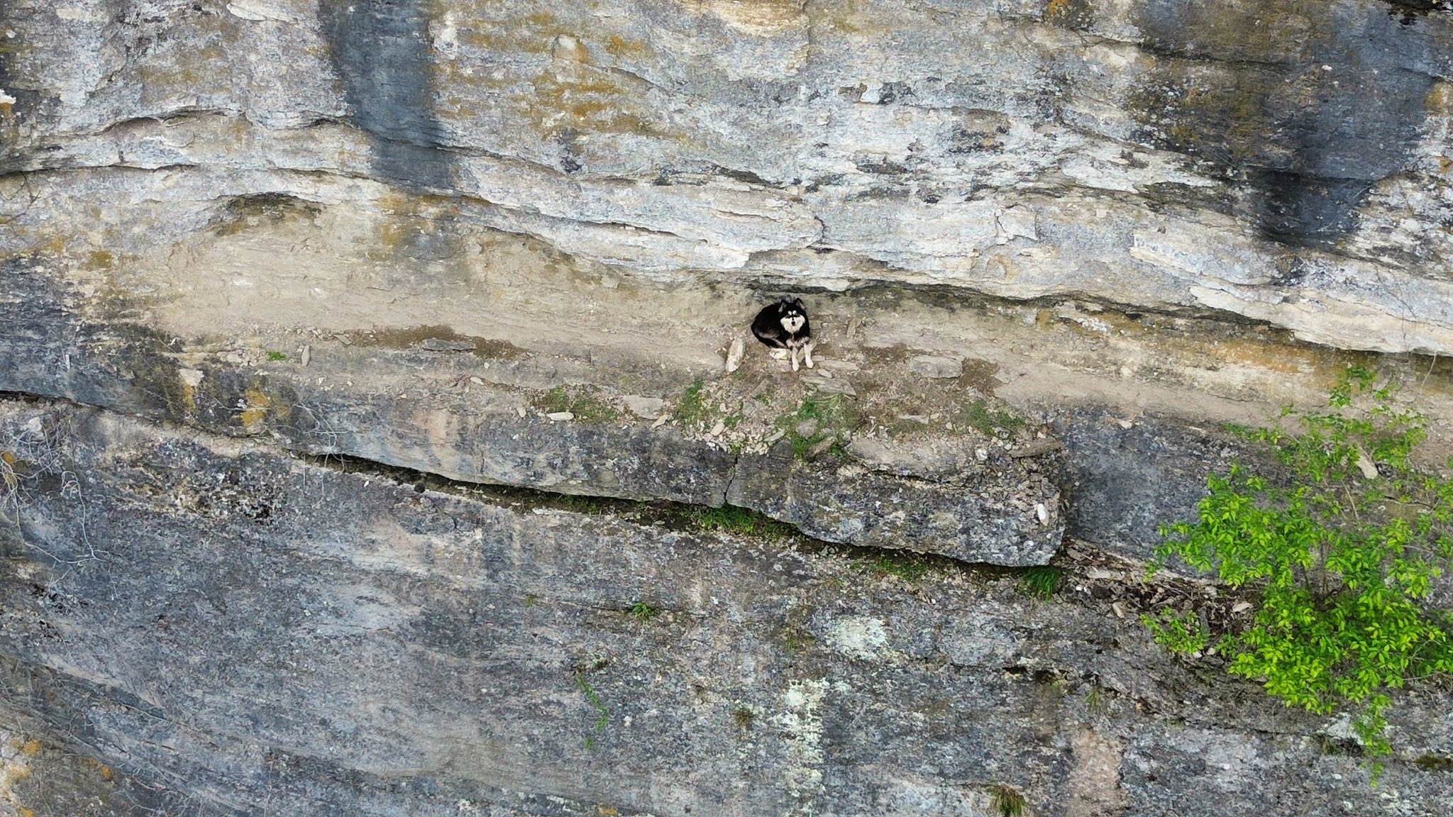 Extra image from article