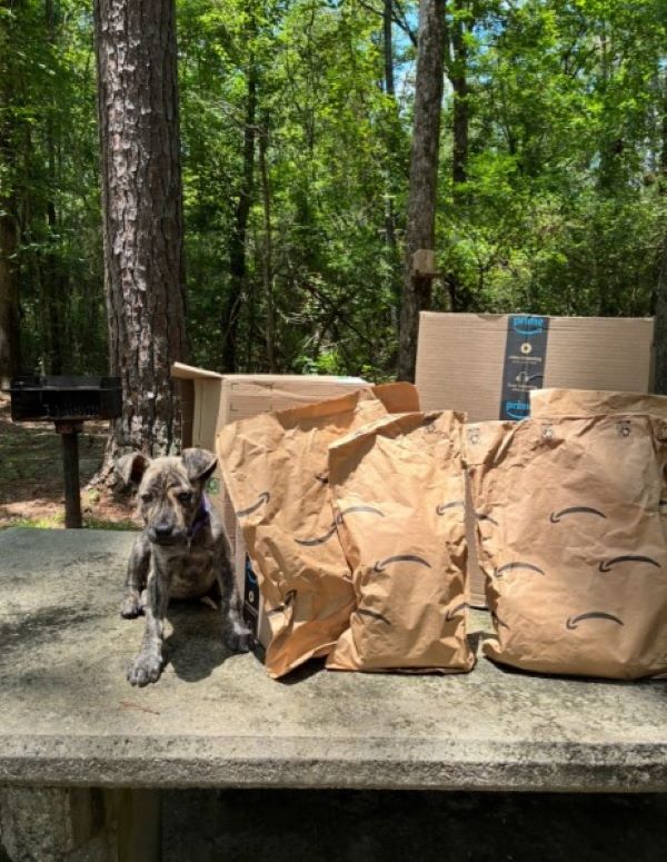 Thanks to Matthews' unwavering care and ...