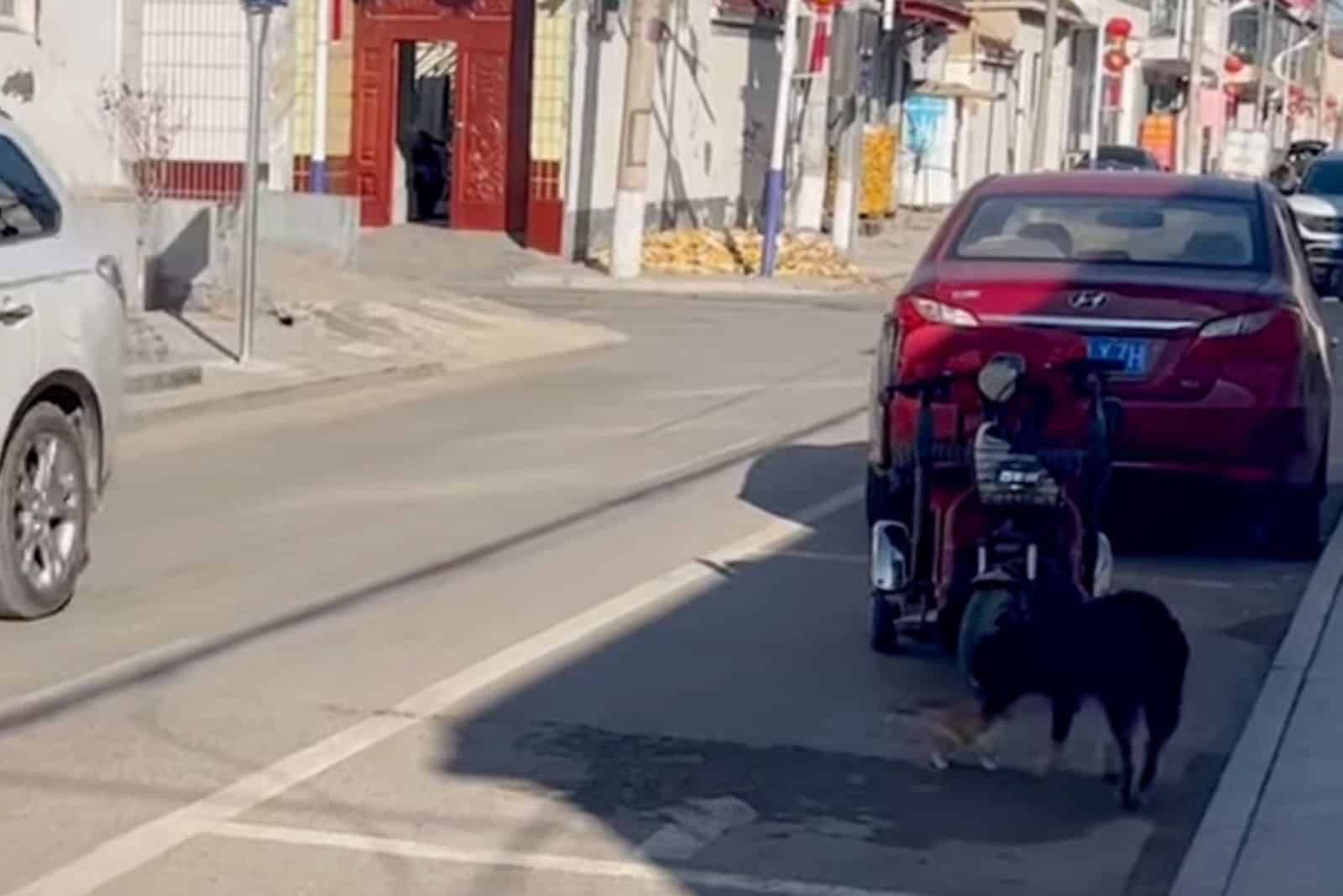 Extra image from article