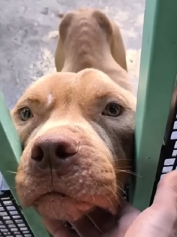 Extra image from article