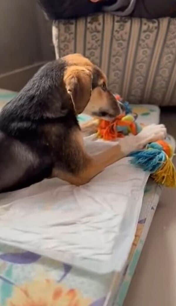 While her health progressed, she couldn'...