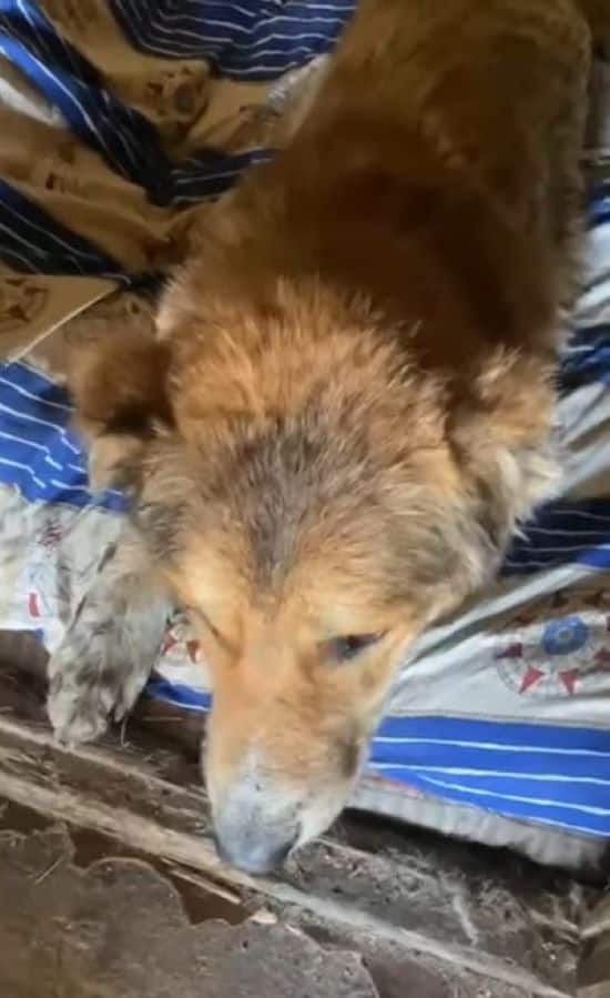 Extra image from article